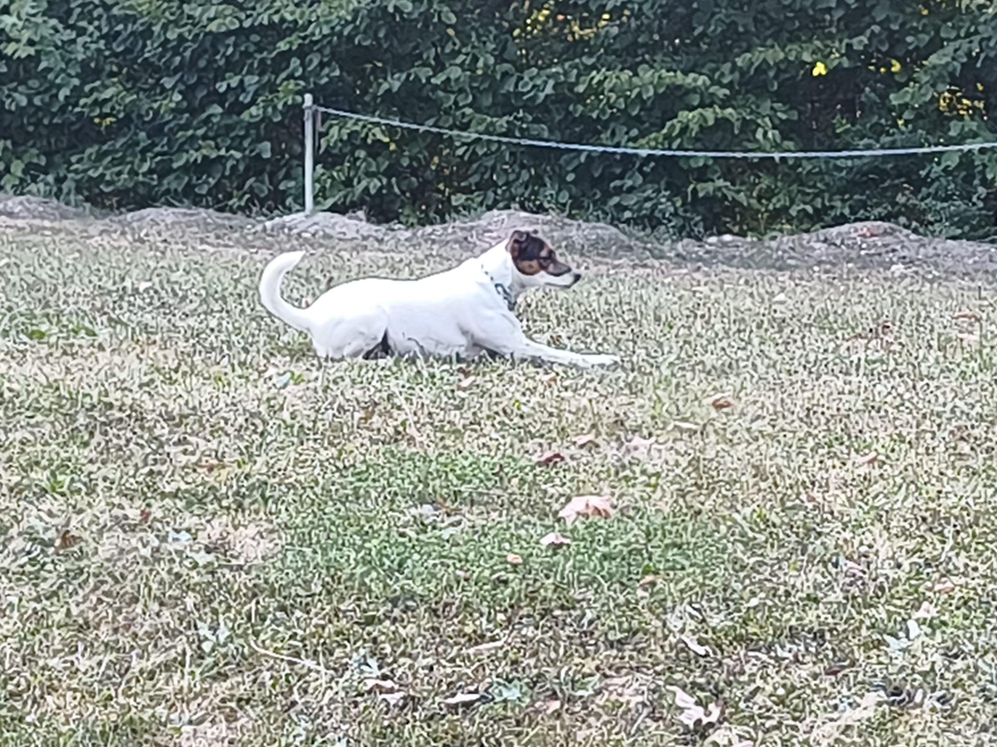 Vereinsbild