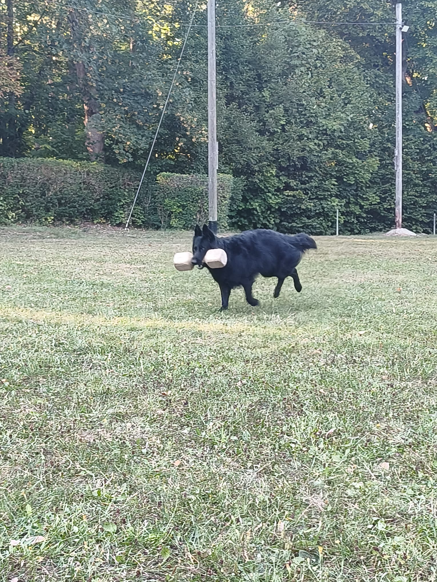 Vereinsbild