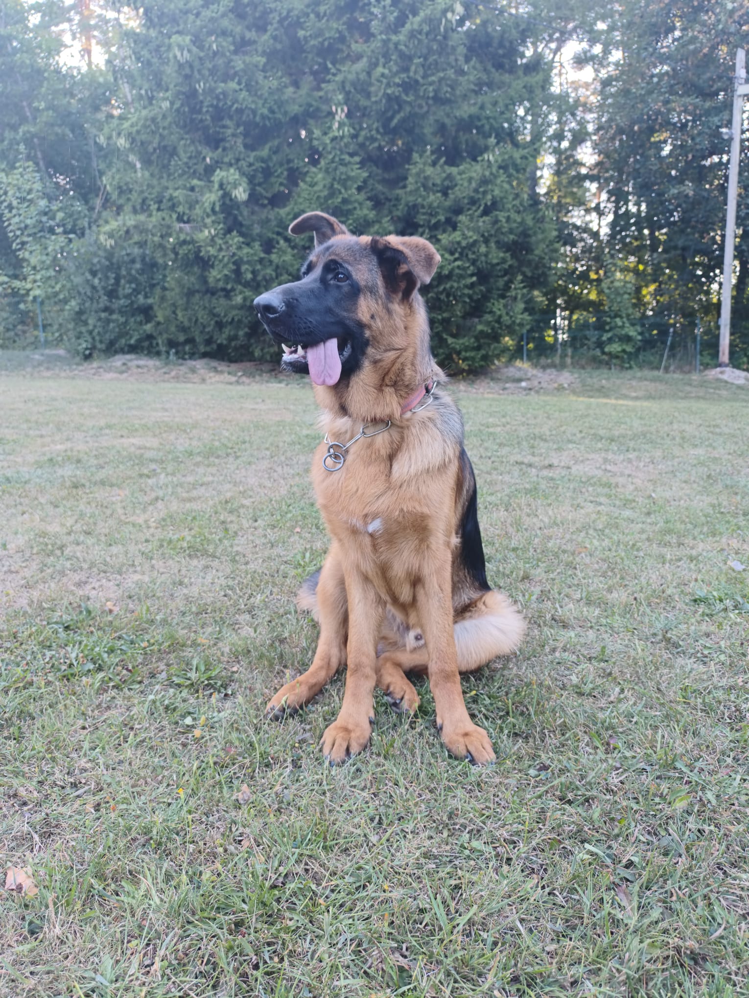 Vereinsbild