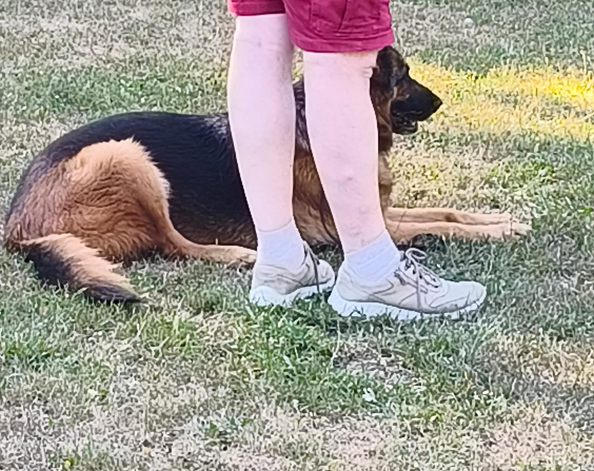 Vereinsbild