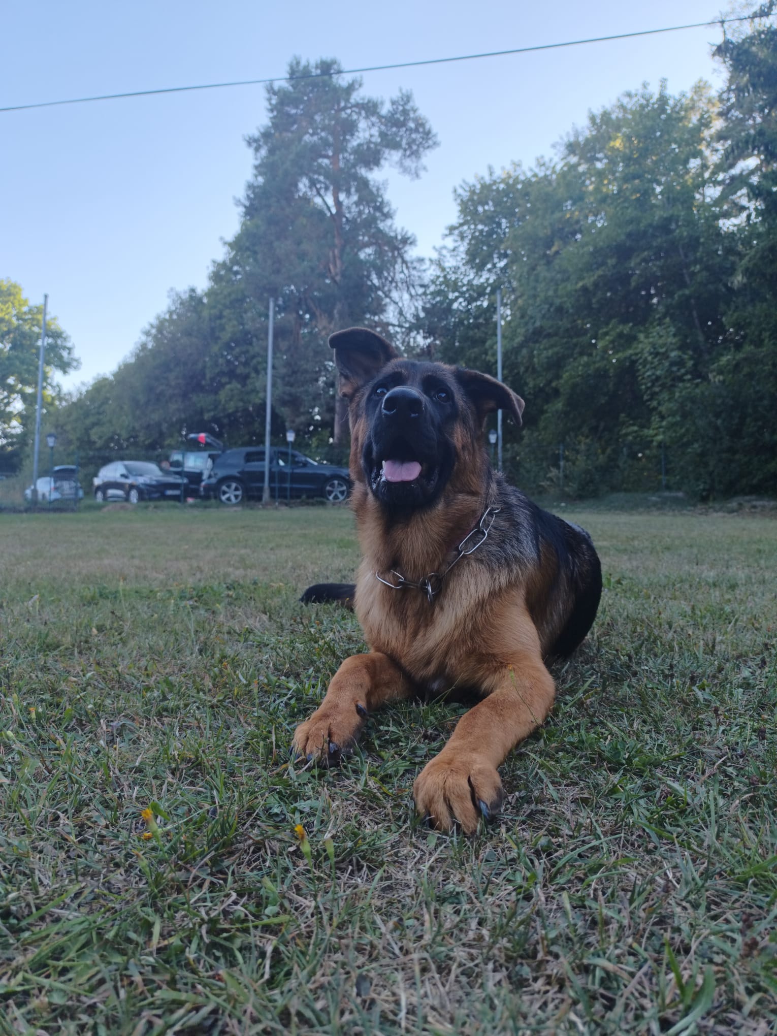 Vereinsbild