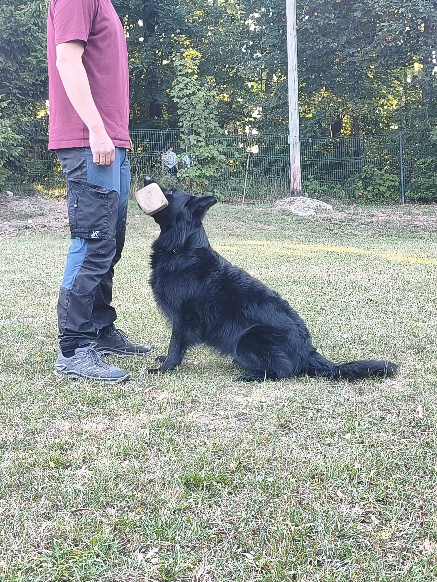 Vereinsbild