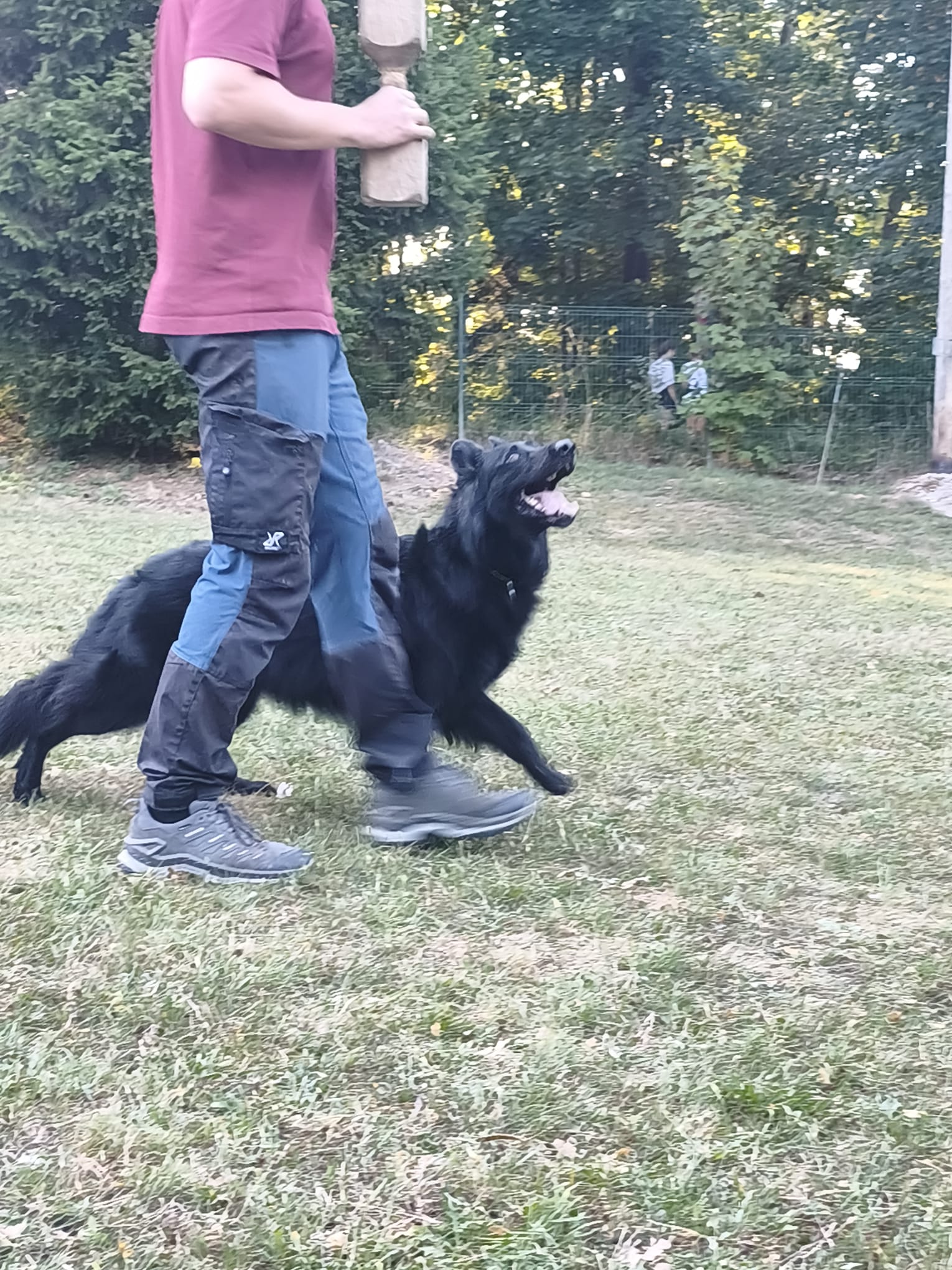Vereinsbild
