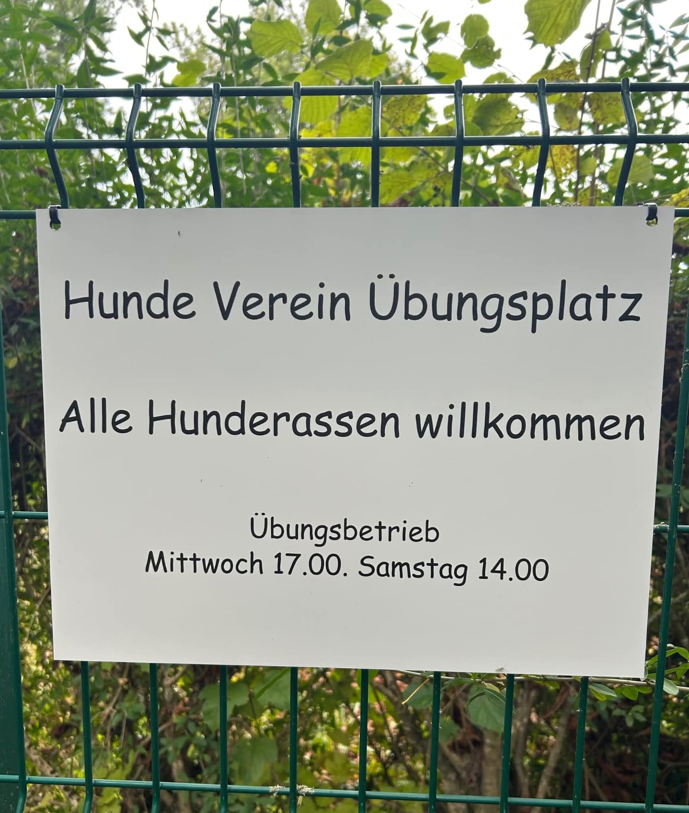 Vereinsbild